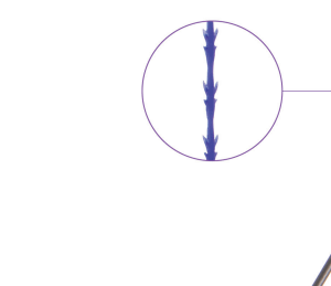 CYTO MOLDING THREAD POWER l TWIN MOLDING
